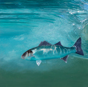 Detail of Bass in the Surf Zone, original oil painting on canvas by wildlife artist David Miller.