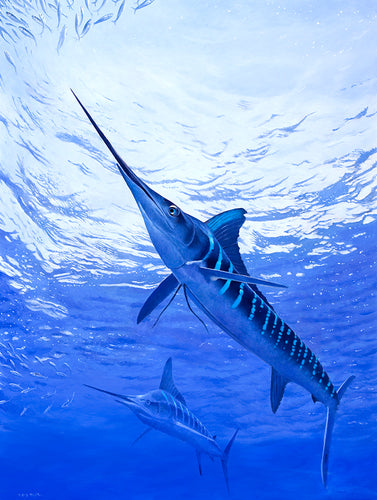 Striped Marlin Canvas