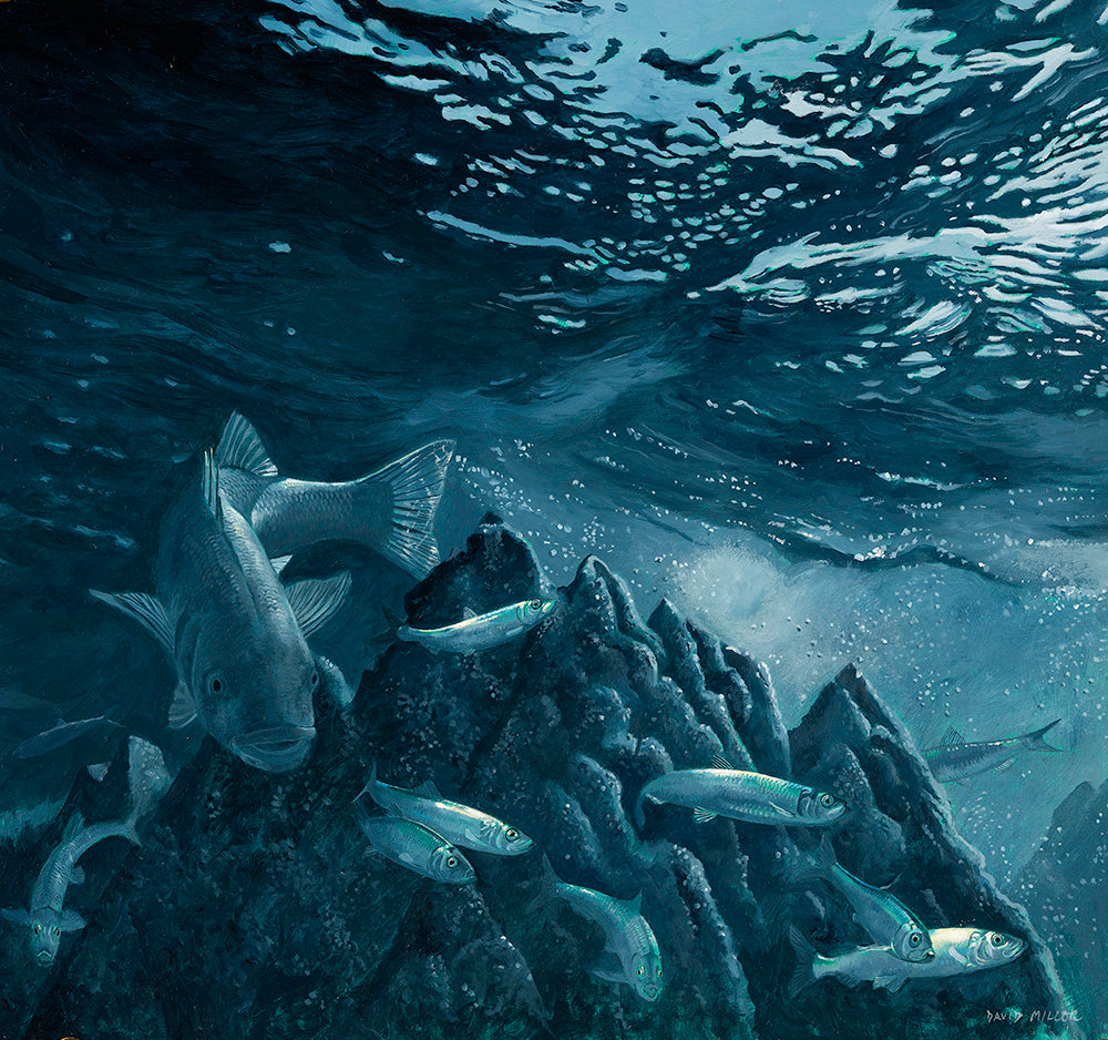 Moonlit Hunter - Bass & Herring| David Miller Art – David Miller Fish ...