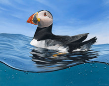 Load image into Gallery viewer, 'Just Keep Swimming', Skomer Puffin, Original Oil