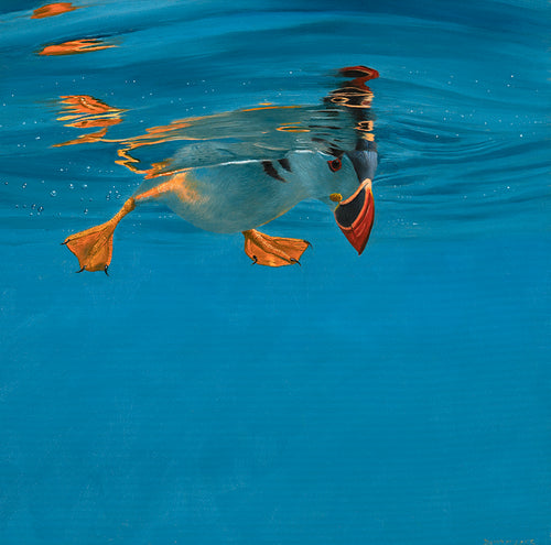 Puffin Reflections Original Oil