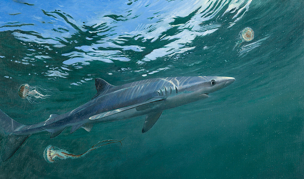 Richard Orlinski (1966) - Shark Spirit Aqua Blue édition