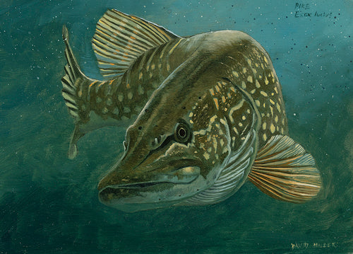 Pike 2 Original Oil