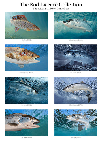 The Rod Licence Collection - Artist's Choice Game Fish