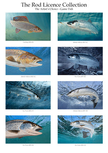 The Rod Licence Collection - Artist's Choice Game Fish