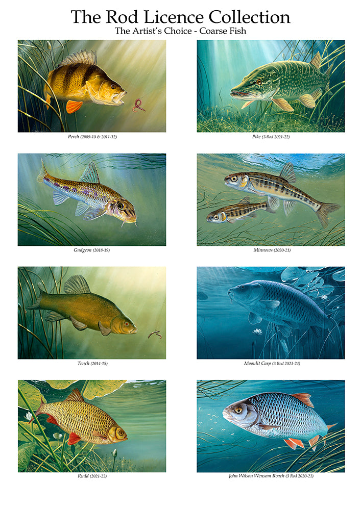 The Rod Licence Collection - Artist's Choice Coarse