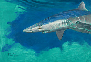Blue Shark Study, Original Oil
