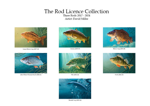 The Rod Licence Collection - Three Rod Coarse Fish