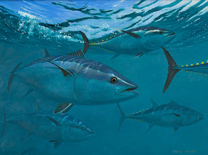 Bluefin Tuna Shoal Original Oil
