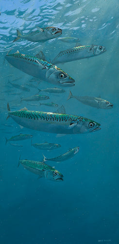 On the Prowl - Mackerel, Original Oil