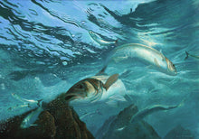 Load image into Gallery viewer, Original underwater oil painting of European bass hunting herring by wildlife artist David Miller