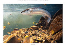 Load image into Gallery viewer, Autumn Salmon