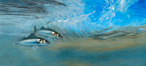 bass riding the surf fish art print by artist david miller