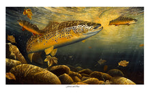 Load image into Gallery viewer, Ferox Trout and Char