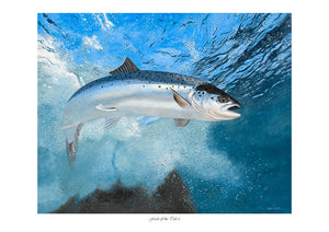 Fresh Off the Tide II