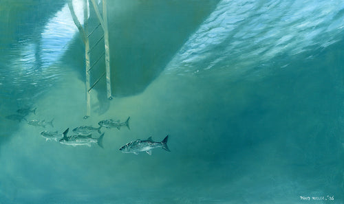 Underwater mullet fish art print by wildlife artist david miller