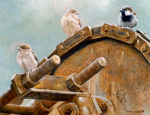 Down on the farm house sparrows open edition bird art print by david miller