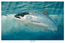 Load image into Gallery viewer, EA Atlantic Salmon 2013-14