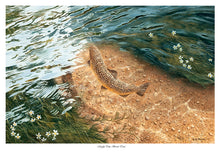 Load image into Gallery viewer, Mayfly Time, Brown Trout