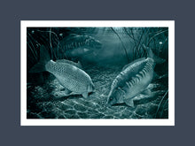 Load image into Gallery viewer, Midnight Carp