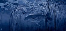 Load image into Gallery viewer, Moonlight Sonata carp underwater fish art print by wildlife artist David Miller. Cyprinus carpio.