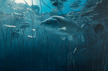 Load image into Gallery viewer, Moonlit Midnight - Carp in the Lilies Original Oil