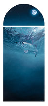 Load image into Gallery viewer, by the light of the silvery moon european bass fish art print by wildlife artist David Miller. Dicentrarchus labrax.