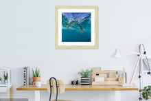 Load image into Gallery viewer, Summer Mackerel