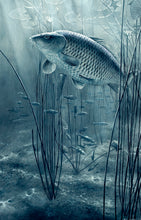 Load image into Gallery viewer, The Midnight Pool black and white fish art print of carp and roach by wildlife artist David Miller. Cyprinus carpio.