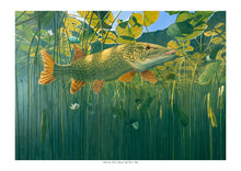 Load image into Gallery viewer, Under the Heat Struck Lily Pads - Pike