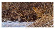 Load image into Gallery viewer, Winter Bittern