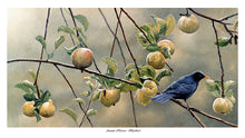 Load image into Gallery viewer, Autumn Harvest, Blackbird
