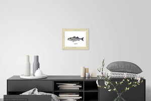 European Bass