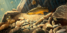 Load image into Gallery viewer, Autumn leaves and brown trout underwater in a rocky sunlit pool. Limited edition fish art print by artist David Miller
