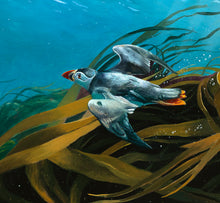 Load image into Gallery viewer, Detail of Puffin in the Kelp. Underwater puffin painting by David Miller.