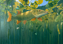 Load image into Gallery viewer, Under the Heat Struck Lily Pads - Pike,  Original Oil
