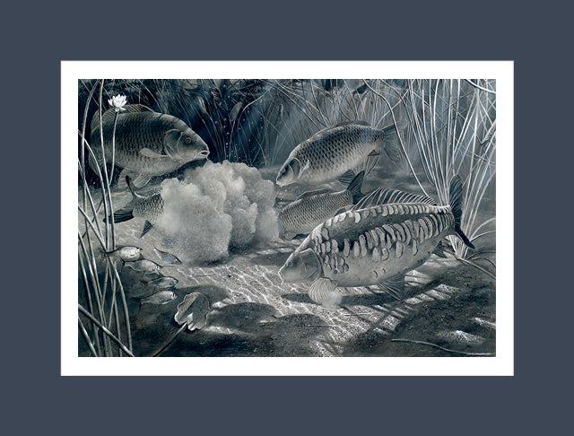 Midnight Feast | David Miller Art – David Miller Fish & Wildlife Art