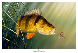 EA Perch 2009-10