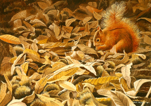 Red Squirrel and Sweet Chestnuts