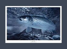 Load image into Gallery viewer, EA Sea Trout 2019-20