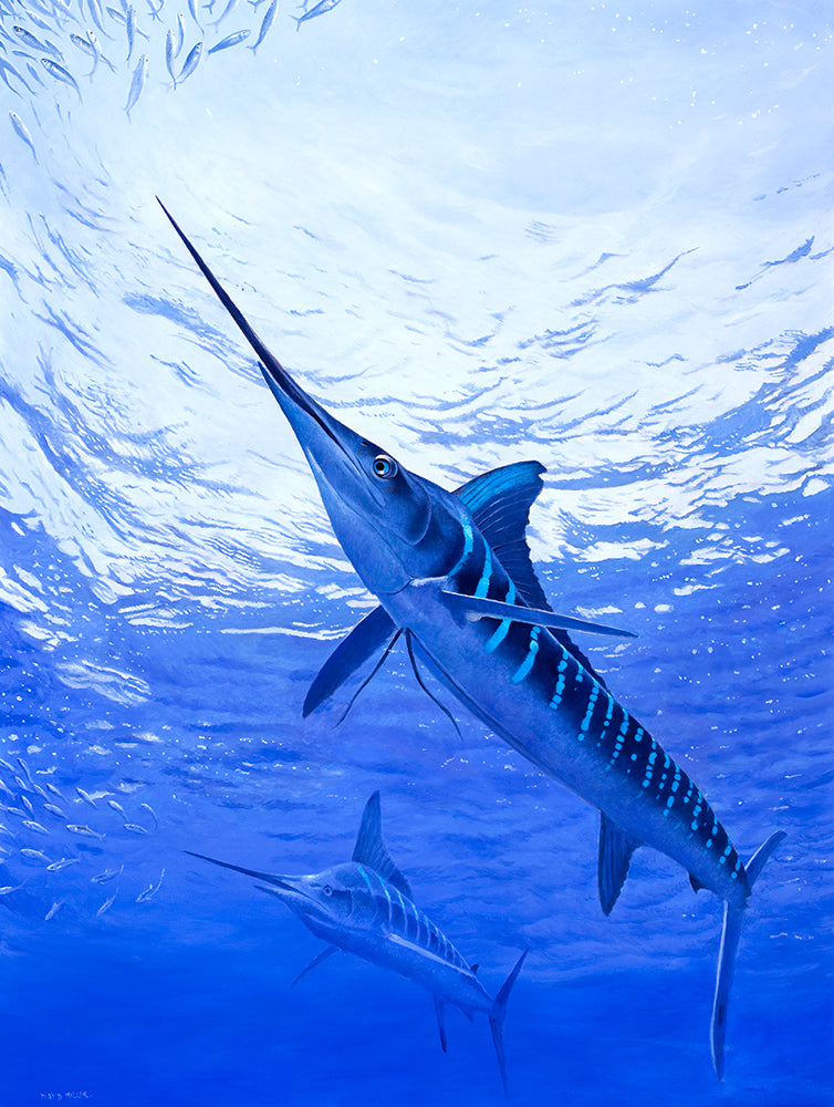 Mahi Mahi, Yellow & Blue Fin Tuna | American Fish Taxidermy