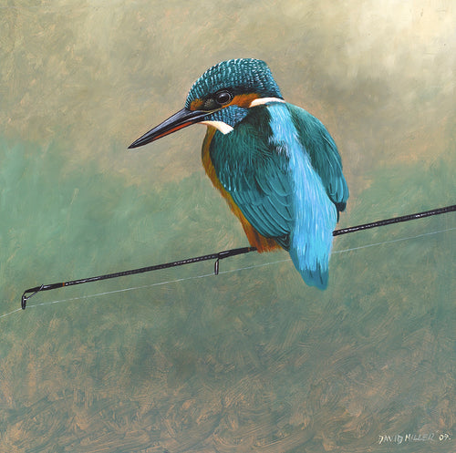 Bird art print of a kingfisher perched on a fishing rod. From an original painting by artist David Miller