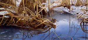 Bird art print of a snipe on a partially frozen pool amongs snowy reeds.  from an original painting by wildlife artist David Miller
